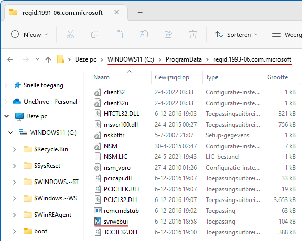 NetSupport: C:\ProgramData\regid.1993-06.com.microsoft\svrwebui