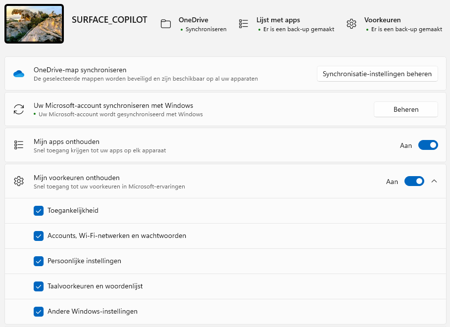 Windows 11: Accounts > Back-up (synchroniseren)