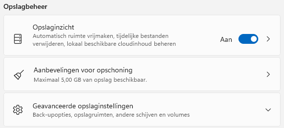 Windows 11: Opslaginzicht