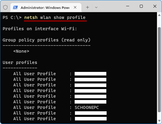 netsh wlan show profile